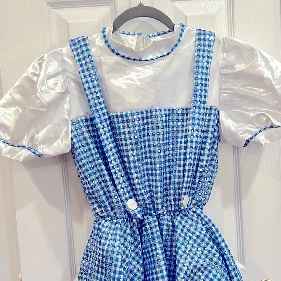 Dorothy Wizard of Oz dress size large - Picture 2 of 11